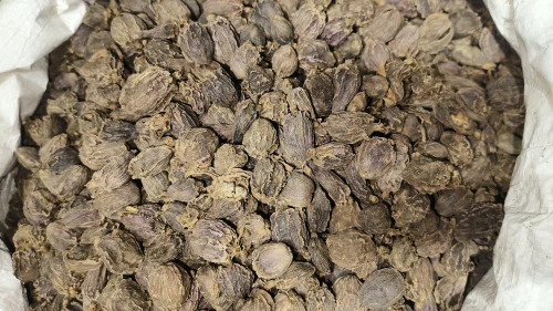 Black Cardamom Badi Elaichi