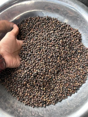 Black Pepper Seeds - Grade: A