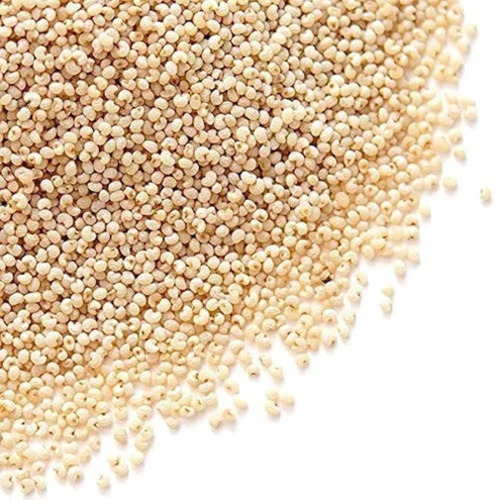 Dried Posta Dana - Grade: A