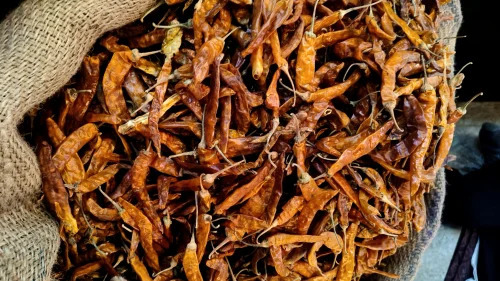 Dried Yellow Chilli
