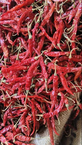Dry Red Chilli Teja