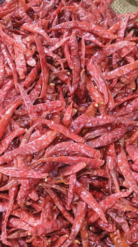 Dry Red Chilli Teja For Cooking