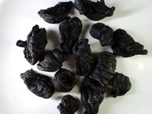 Garcinia Cambogia Herb