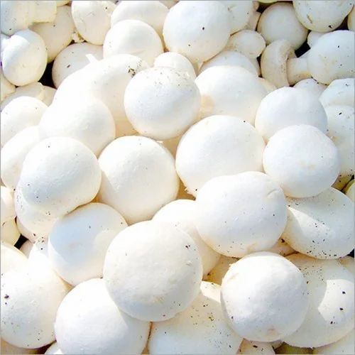 Gt White Button Mushroom