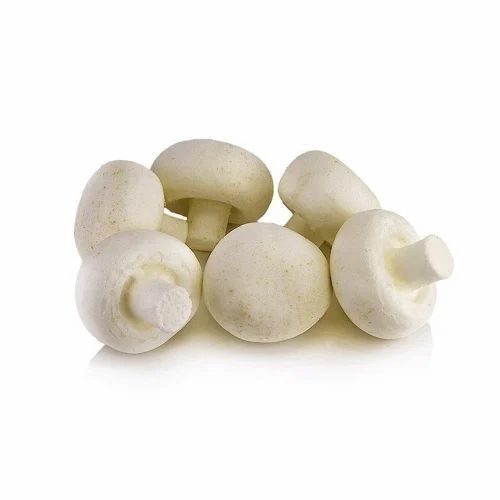 Kb White Button Mushroom