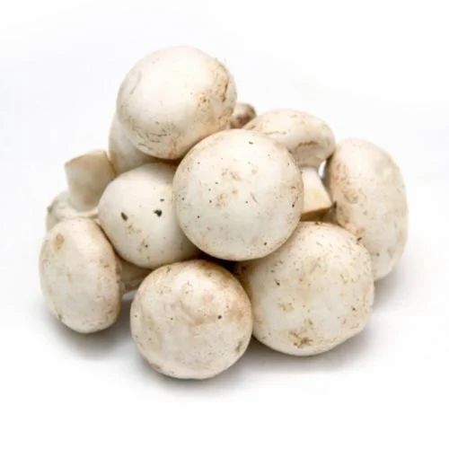 Organic Button Mushroom