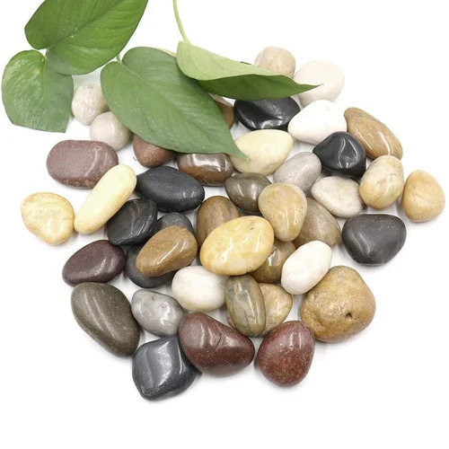 Pebbles For Garden Plants Pot