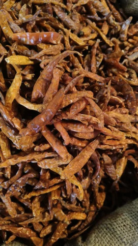 Yellow Chilli Dry