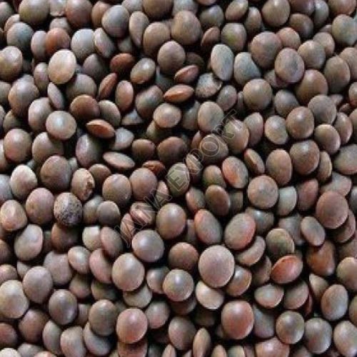 Black Masoor Dal