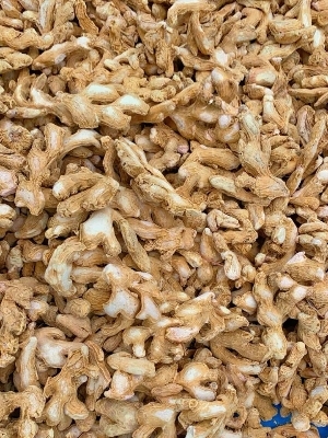 Dry Ginger - Color: Brown White