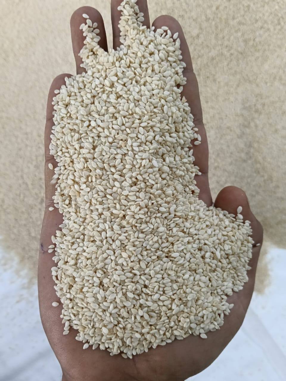 Natural Sesame Seeds