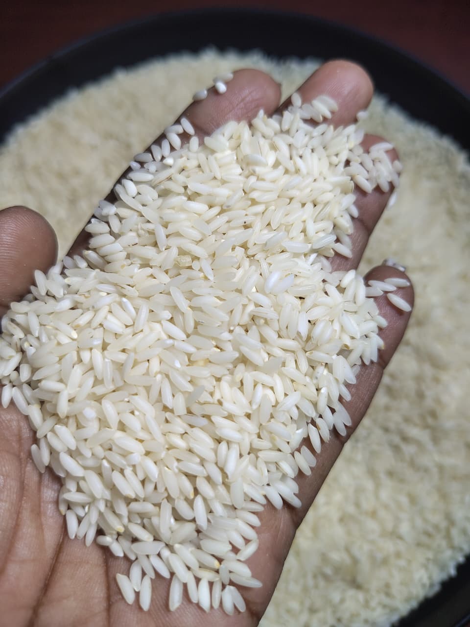 Sona Masoori Steam Rice - Color: Yellow
