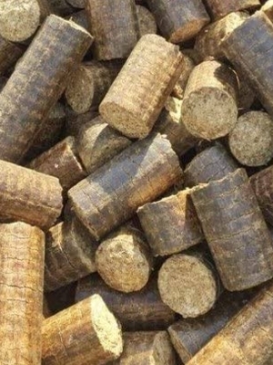Bio Coal Briquettes
