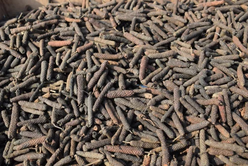 Black Long Pepper Pippali
