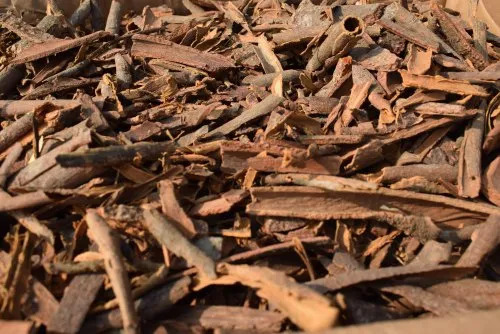 Dried Dalchini Cassia Broken