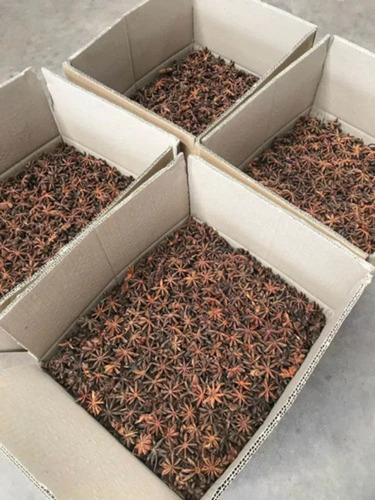 Star Anise