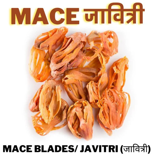 Yellowish Mace Javitri Spices