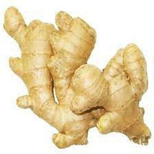 Aromatic Healthy Fresh Ginger