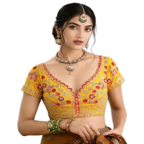 Embroidery Designer Blouse