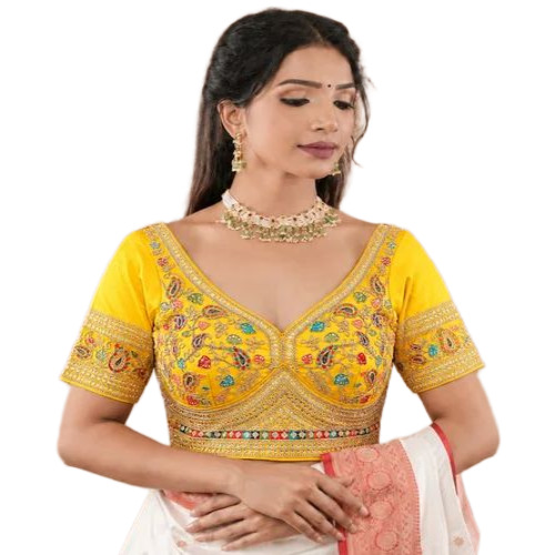 कढ़ाई का काम फैंसी ब्लाउज