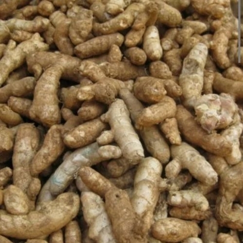 Mango Fresh Ginger