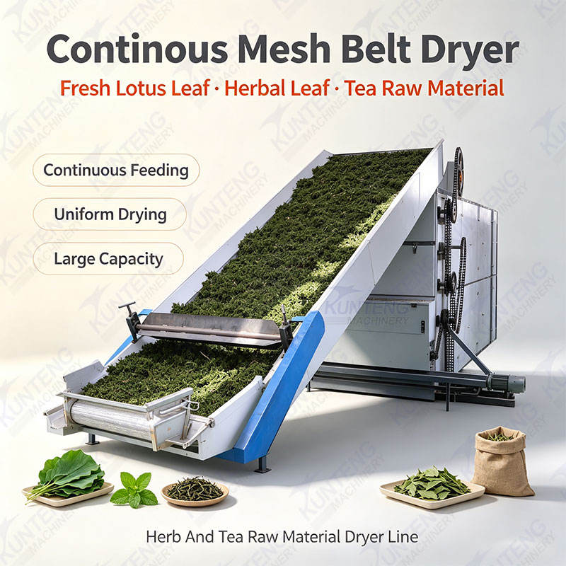Continuous Mesh Belt Dryer Fresh Lotus Leaf Drying Machine Herbal Leaf Dehydrator Herb and Tea Raw Material Dryer Line