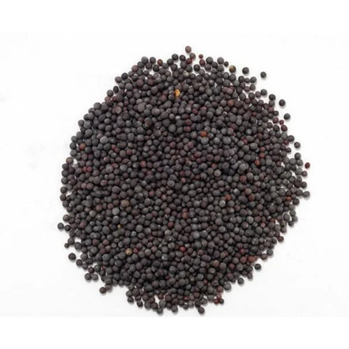 Black Mustard Seed
