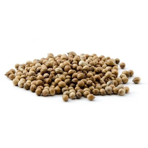 Coriander Seeds