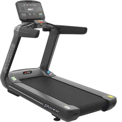 Exercise Motorised Treadmill W-917