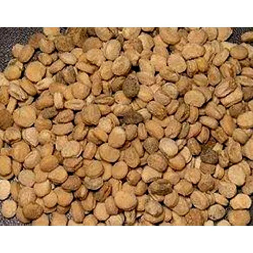 Ginger Seed