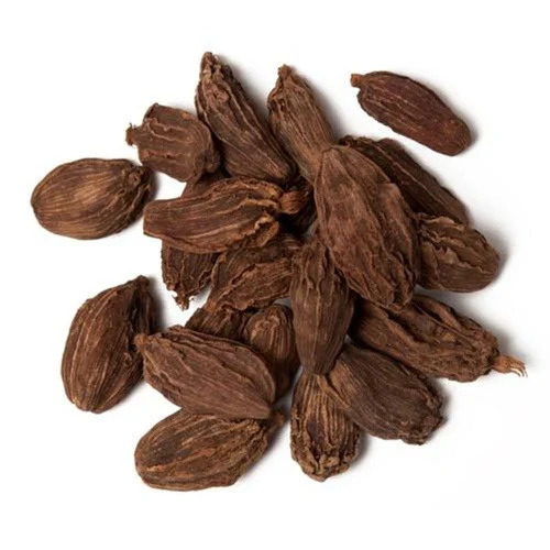 20 Kg Cardamom Seed