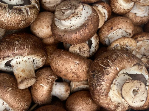 A Grade Fresh Cremini Mushroom