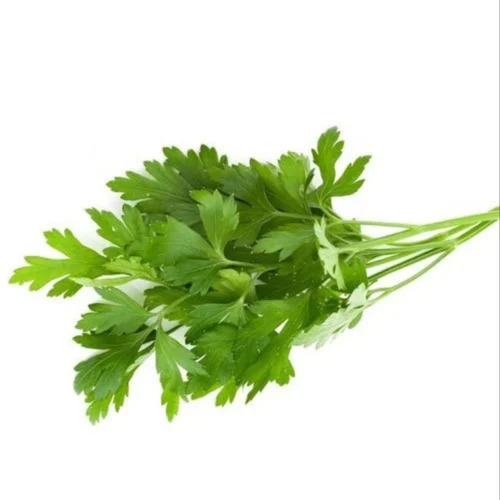 A Grade Frozen Organic Parsley Leaves