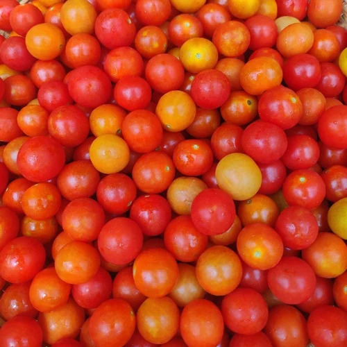 A Grade Red Cherry Tomatoes