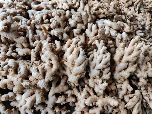 A Grade Washed Ginger