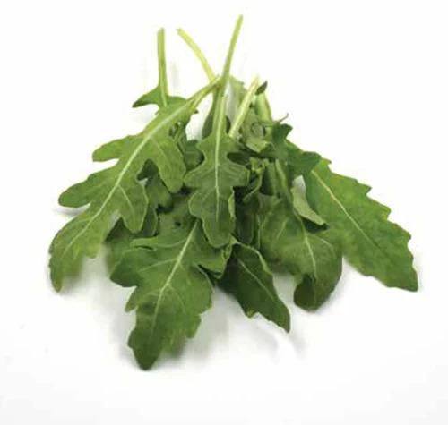 Arugula