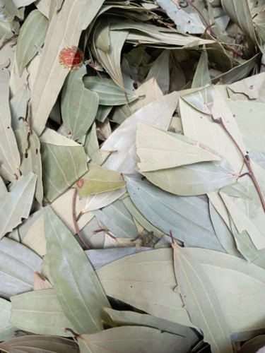 Bay Leaf