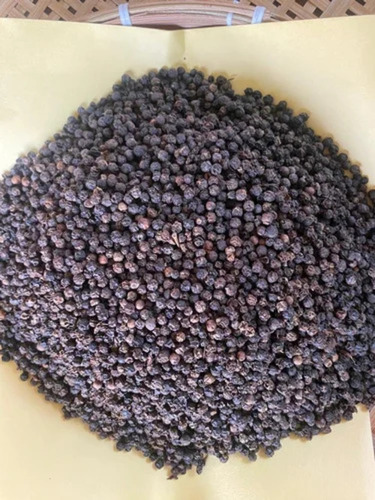 Black Pepper