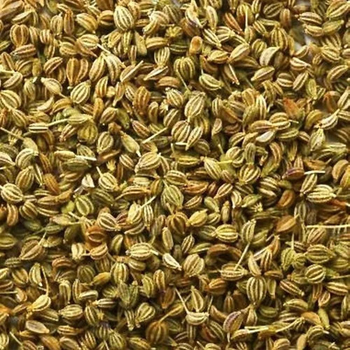 Bold Green Celery Seeds