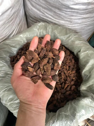Cardamom Seed