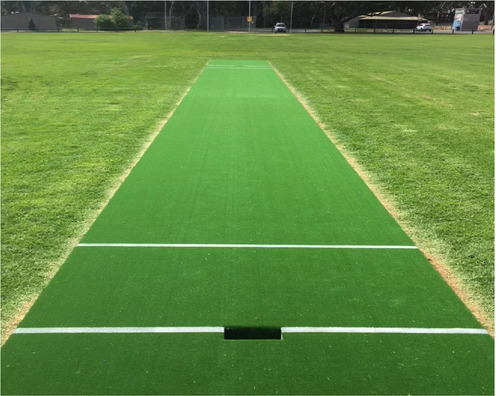 Cricket Turf Pitch
