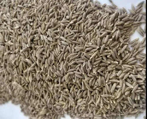 Cumin Seed