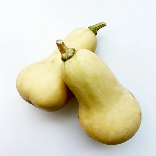 Fresh Butternut Squash