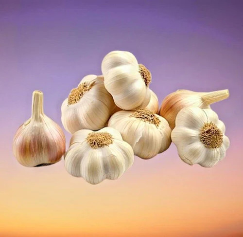 Fresh Garlic Balls