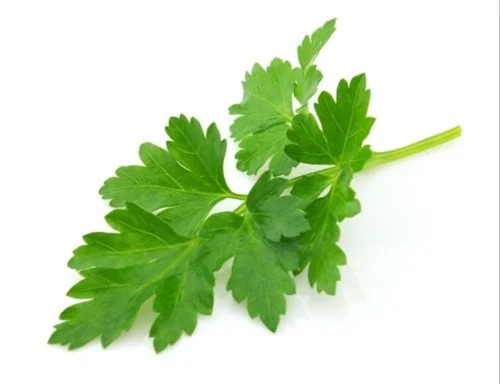 Frozen Organic Parsley Leaves