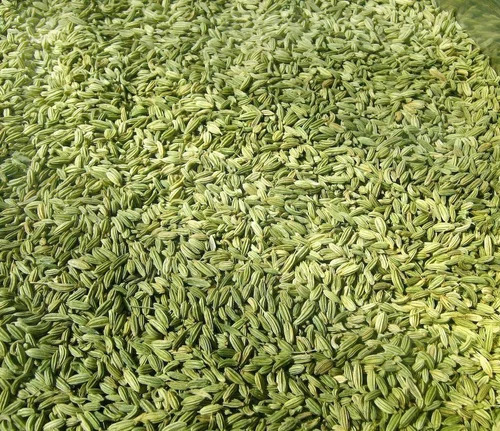 Gujarat Green Fennel Seeds
