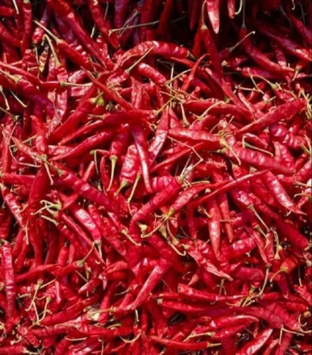 Guntur Teja S17 Dry Red Chilli - Grade: A