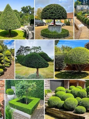 Horticulture Services