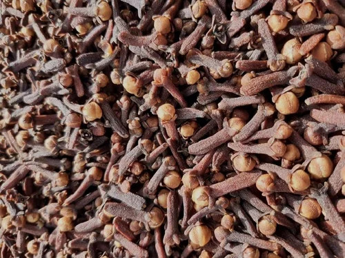 Indo Lalpari Cloves