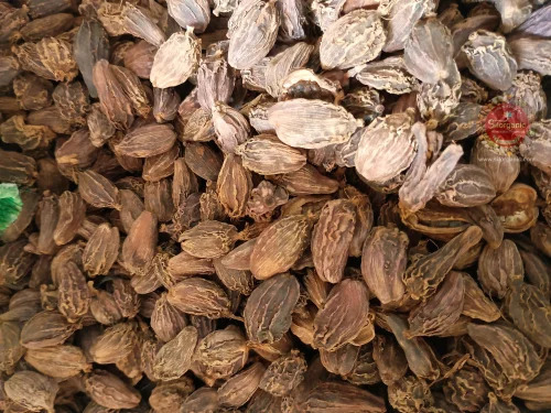 Large Black Cardamom